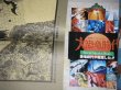 画像3: ロマンアルバム(28)「大恐竜時代」原作・石森章太郎
