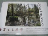 画像: 発言する風景クリティカルランドスケープ展ポスター/1993年東京都写真美術館 